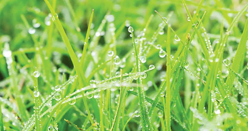 ভোট ঠেকানো গণতান্ত্রিক অধিকার নয়: ডিএমপি কমিশনার