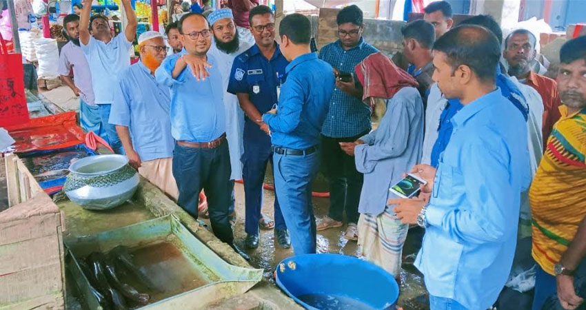 গুরুদাসপুরে নিষিদ্ধ আফ্রিকান মাগুর মাছ বিক্রির দায়ে ব্যবসায়ীকে জরিমানা