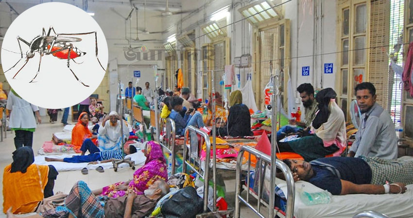 গত ২৪ ঘন্টায় ডেঙ্গুতে একজনের মৃত্যু, হাসপাতালে ভর্তি ৪৩০ গত ২৪ ঘন্টায় ডেঙ্গুতে একজনের মৃত্যু, হাসপাতালে ভর্তি ৪৩০