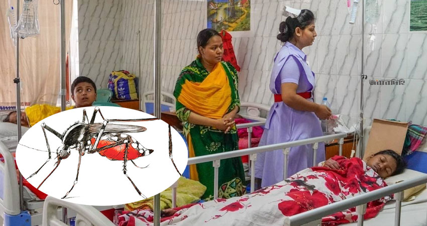 ডেঙ্গুতে আরো তিন মৃত্যু, হাসপাতালে ভর্তি ৪১২