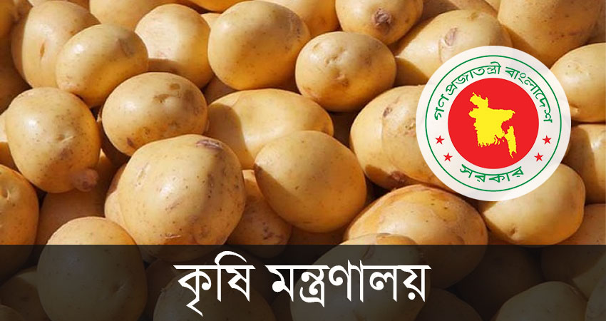 আলুর সর্বনিম্ন দাম বেঁধে দিলো সরকার