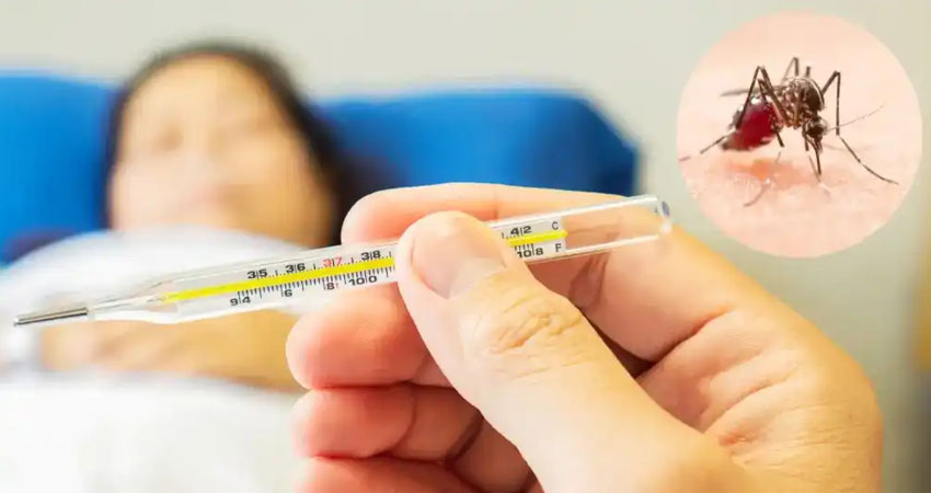 বাড়ছে ডেঙ্গু আতঙ্ক, এক সপ্তাহে ১২ জনের মৃত্যু