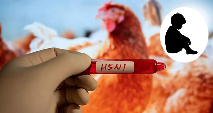 দেশে ৪ শিশুর শরীরে ‘বার্ড ফ্লু’ শনাক্ত