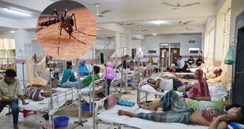 ডেঙ্গুতে আরও পাঁচ মৃত্যু, হাসপাতালে ভর্তি ৬৩৬ ডেঙ্গুতে আরও পাঁচ মৃত্যু, হাসপাতালে ভর্তি ৬৩৬