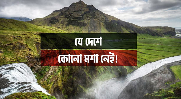 যে দেশে কোনো মশা নেই