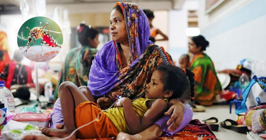 ডেঙ্গুতে আরও দুই মৃত্যু, হাসপাতালে ভর্তি ৬৭৮