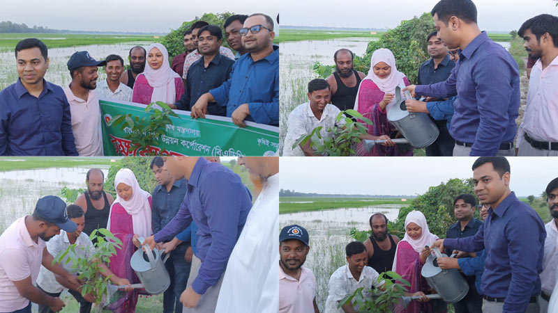 নাটোরের গুরুদাসপুরে ৫ হাজার বৃক্ষ রোপণ কর্মসূচি অনুষ্ঠিত