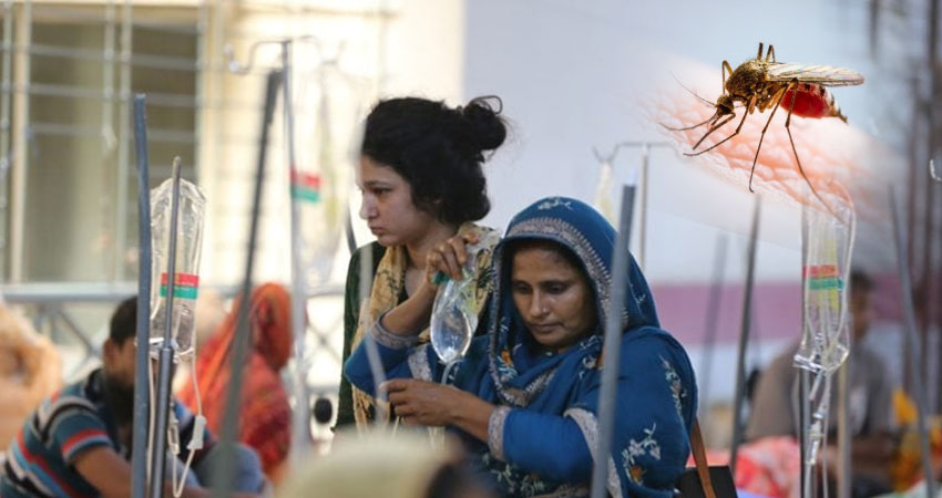 ডেঙ্গুতে আরও দুই মৃত্যু, হাসপাতালে ভর্তি ৭১৫