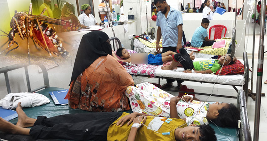 ডেঙ্গুতে আরও পাঁচজনের মৃত্যু, হাসপাতালে ভর্তি ৮৪১