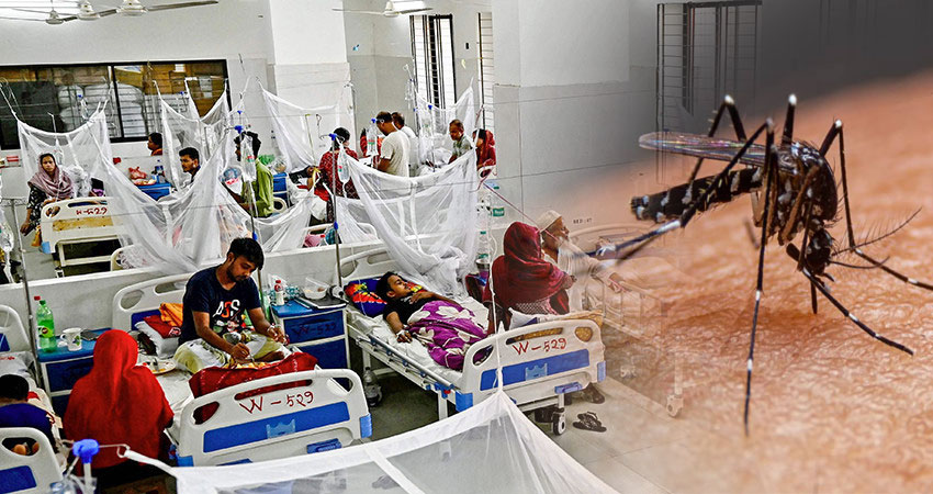 ডেঙ্গুতে আরও চার মৃত্যু, হাসপাতালে ভর্তি ৭৫৮