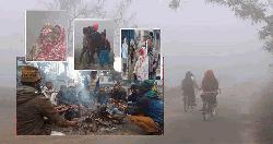 শীতের আমেজ শুরু হলেও আসছে না শৈত্যপ্রবাহ