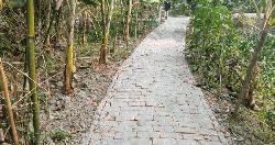 রাজাপুরে ইউপি সদস্যের বিরুদ্ধে রাস্তা নির্মাণে দুর্নীতির অভিযোগ