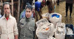 কালকিনিতে প্রায় ৪ মণ জাটকা জব্দ,২৮ হাজার টাকা জরিমানা