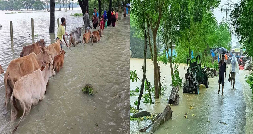 টানা বর্ষণ ও পাহাড়ি ঢলে সিলেটের নদ-নদীতে বেড়েছে পানি, বন্যার শঙ্কা